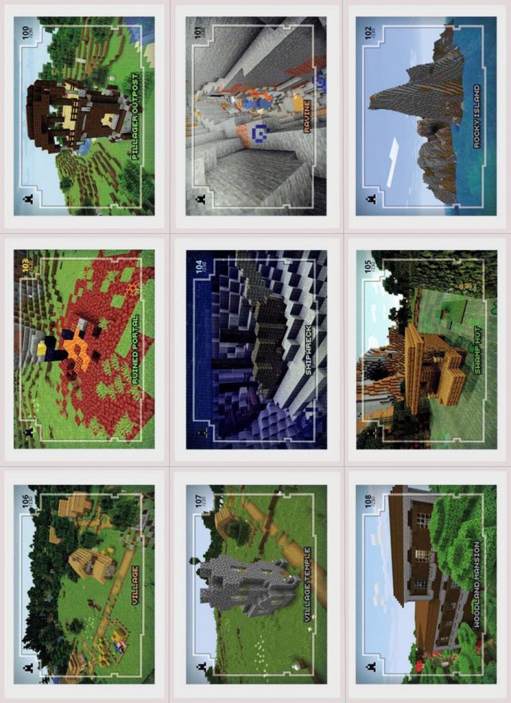 Minecraft Adventure Trading Cards Panini Elsaber